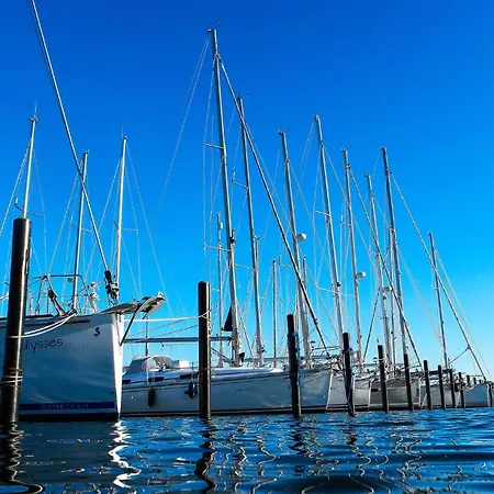 Dornroeschen 1 Steinberg (Schleswig-Holstein)